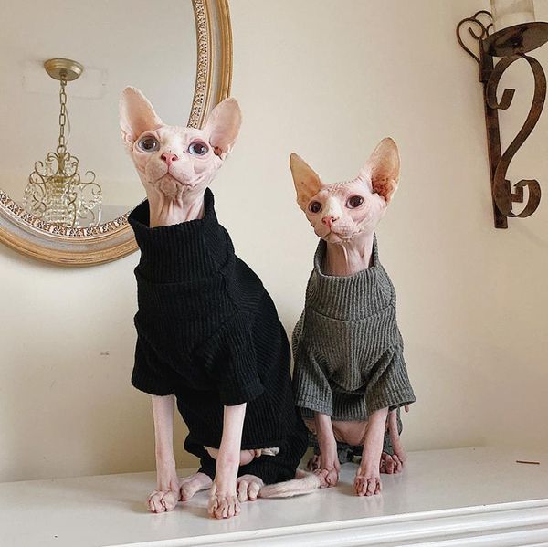 cat costumes sphynx clothes warm thick comfort for sphinx kitten super stretch sweatshirt clothing sphynxcat fashion coat
cat costumes sphynx clothes warm thick comfort for sphinx kitten super stretch sweatshirt clothing sphynxcat fashion coat