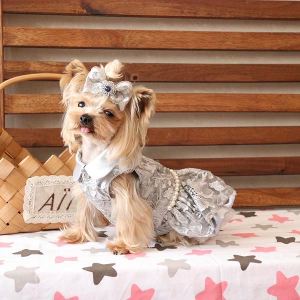 dog apparel high-end luxury dresses floral embroidery wedding princess banquet pet clothes clothing bomei chihuahua yorkie maltese 
dog apparel high-end luxury dresses floral embroidery wedding princess banquet pet clothes clothing bomei chihuahua yorkie maltese