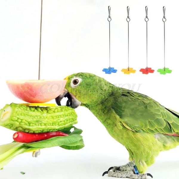 other bird supplies pet parrot fruit fork feeding birds hang cage stainless steel parakeet skewer 2 size feeders for cockatiel drop
other bird supplies pet parrot fruit fork feeding birds hang cage stainless steel parakeet skewer 2 size feeders for cockatiel drop
