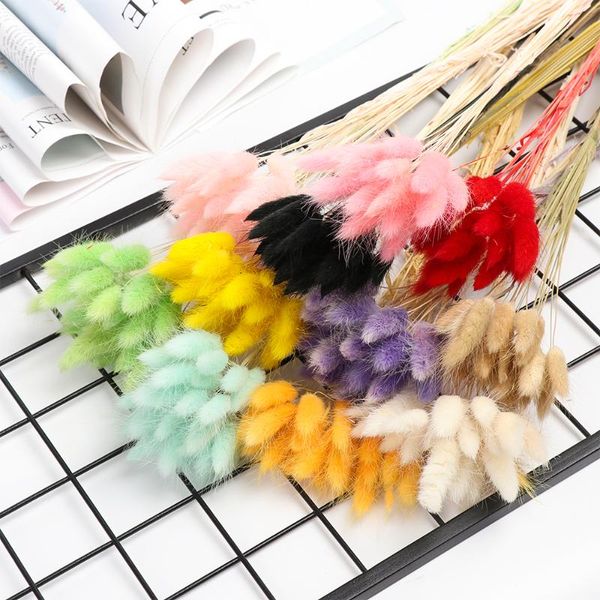 20pcs colorful natural dried flowers bouquets pastoral style tail grass plant stems wedding decor home decoration decorative & wreath wreath
20pcs colorful natural dried flowers bouquets pastoral style tail grass plant stems wedding decor home decoration decorative & wreath wreath