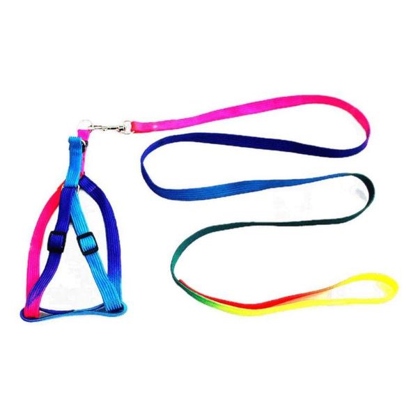 pet leash puppy colorful chest strap dog teddy vip than bear chain hyena rope collars & leashes
pet leash puppy colorful chest strap dog teddy vip than bear chain hyena rope collars & leashes
