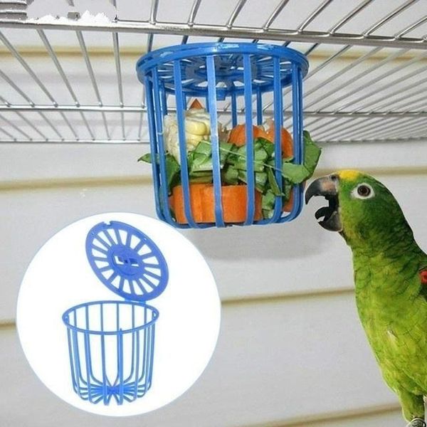 other bird supplies cute parrot feeder cage fruit vegetable holder accessories hanging basket container toys pet
other bird supplies cute parrot feeder cage fruit vegetable holder accessories hanging basket container toys pet