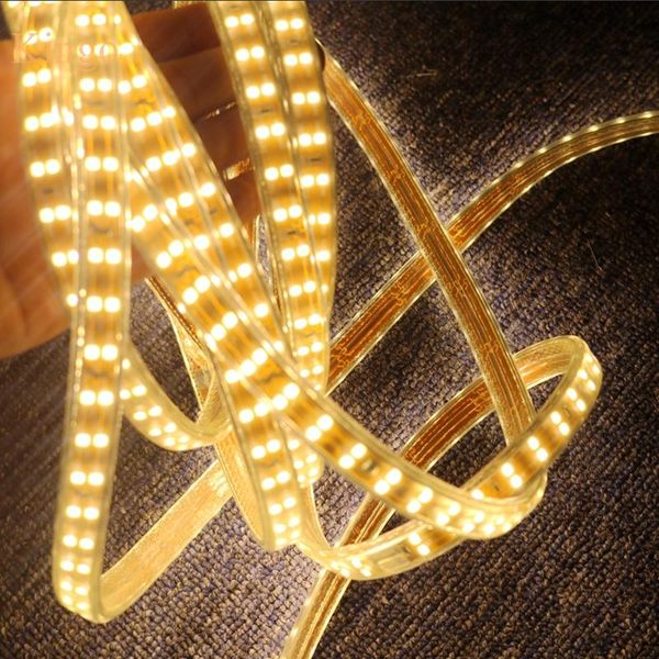 strips waterproof 2835 smd led strip light ac220v double row flexible tape 156leds/m with eu power plug white warm outdoor lamps
strips waterproof 2835 smd led strip light ac220v double row flexible tape 156leds/m with eu power plug white warm outdoor lamps