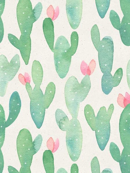 wallpapers waterproof cactus peel and stick wallpaper removable for lockers green/pink self adhesive kidroom home decorate
wallpapers waterproof cactus peel and stick wallpaper removable for lockers green/pink self adhesive kidroom home decorate