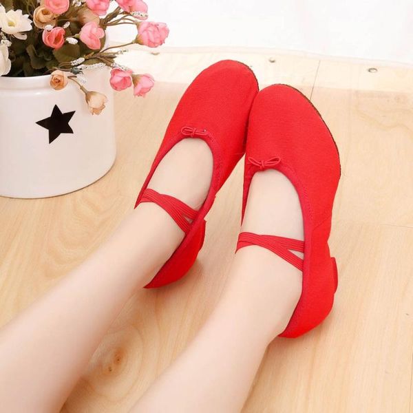 dress shoes 2021 women canvas ladies dancing rumba waltz prom ballroom latin ballet dance singles simple round heels, Black
dress shoes 2021 women canvas ladies dancing rumba waltz prom ballroom latin ballet dance singles simple round heels, Black