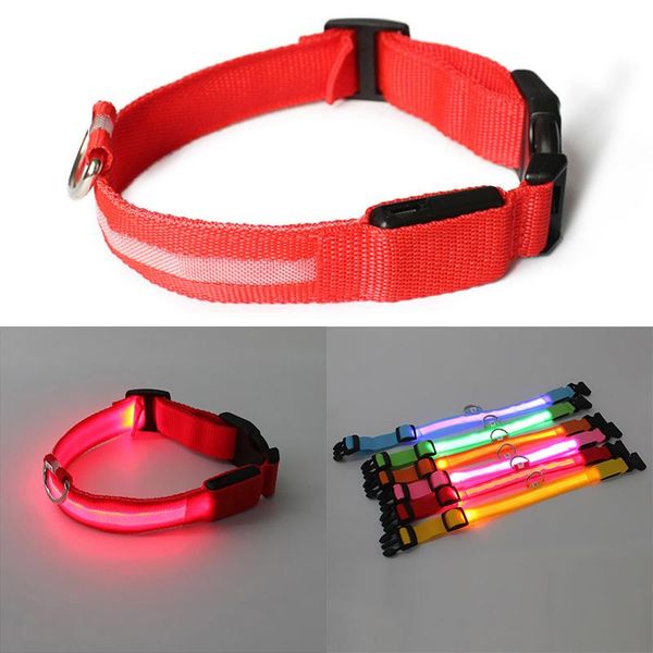 red usb charging pet dog collar rechargeable led tube flashing night collars luminous safety puppy cat with battery & leashes
red usb charging pet dog collar rechargeable led tube flashing night collars luminous safety puppy cat with battery & leashes