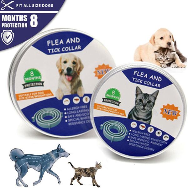 cat collars & leads removes flea and tick collar for dogs up to 8 month prevention anti mosquito insect bugs dog accessories
cat collars & leads removes flea and tick collar for dogs up to 8 month prevention anti mosquito insect bugs dog accessories