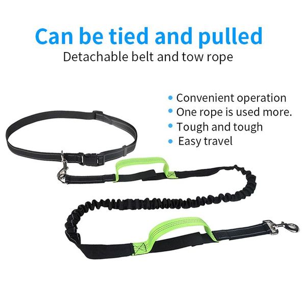 dog collars & leashes outdoor pet cat running waist belt reflective strip elastic leash rope perfect walking training set for dogs
dog collars & leashes outdoor pet cat running waist belt reflective strip elastic leash rope perfect walking training set for dogs