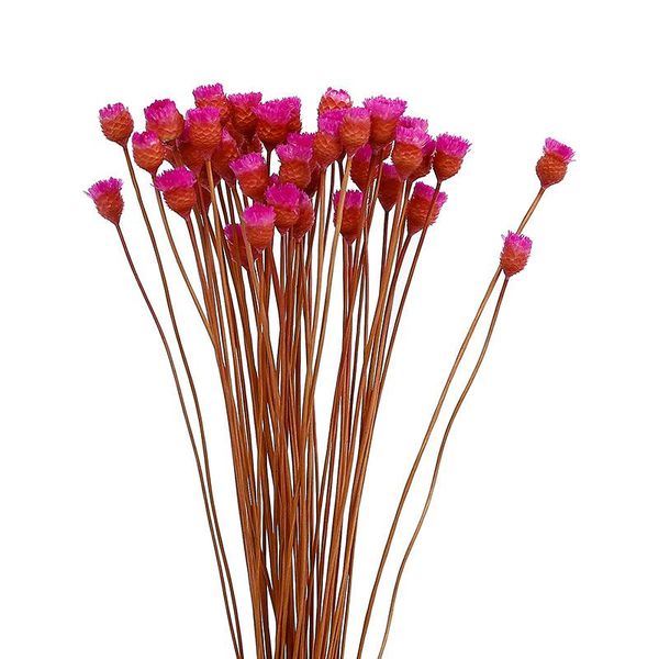 decorative flowers & wreaths 50pcs/lot,natural dried mini flowers,display flower branch diy wedding party home decoration accessories,birthd
decorative flowers & wreaths 50pcs/lot,natural dried mini flowers,display flower branch diy wedding party home decoration accessories,birthd