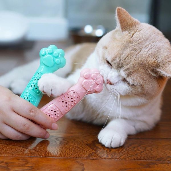 cat toys pet toothbrush chew toy doggy brush mint bite stick soft rubber cleaning dot massage toothpaste for small dogs pets
cat toys pet toothbrush chew toy doggy brush mint bite stick soft rubber cleaning dot massage toothpaste for small dogs pets