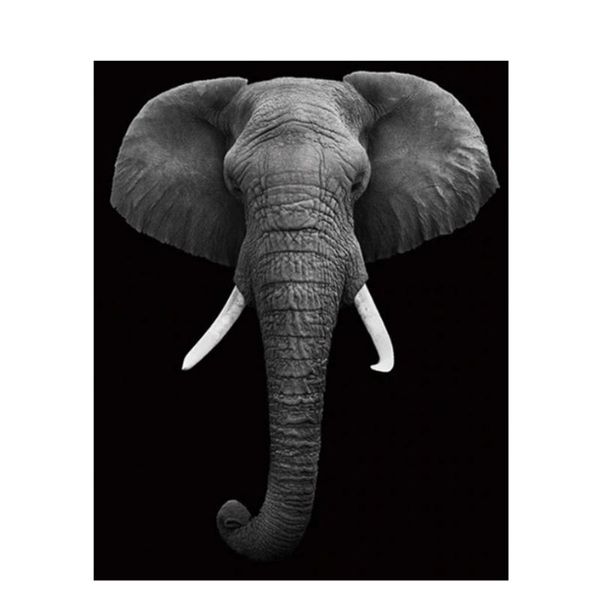 paintings diy digital painting by numbers package black and white elephant coloring wall art picture gift frameless
paintings diy digital painting by numbers package black and white elephant coloring wall art picture gift frameless