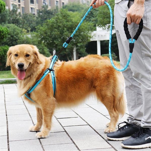 nylon pet adjustable traction rope dog harness leash set small large dogs reflective outdoor walking travel tenacity collars & leashes
nylon pet adjustable traction rope dog harness leash set small large dogs reflective outdoor walking travel tenacity collars & leashes