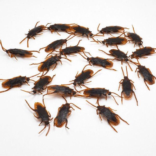 party masks 12 pcs halloween simulated plastic cockroaches deceptive props toy trick decor
party masks 12 pcs halloween simulated plastic cockroaches deceptive props toy trick decor