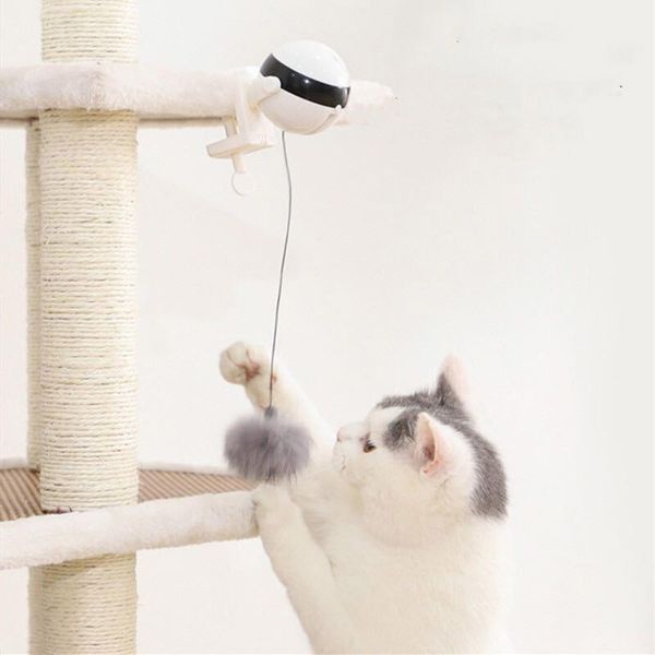 automatic lifting cat ball teaser toy pet funny electric motion kitten exercise puzzle interactive smart playing toys supply
automatic lifting cat ball teaser toy pet funny electric motion kitten exercise puzzle interactive smart playing toys supply