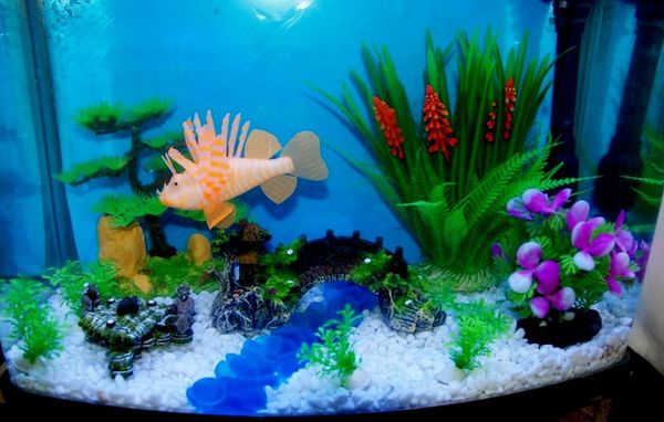 decorations aquarium fish tank hide bridge decor vintage decorative resin landscaping decoration view home
decorations aquarium fish tank hide bridge decor vintage decorative resin landscaping decoration view home