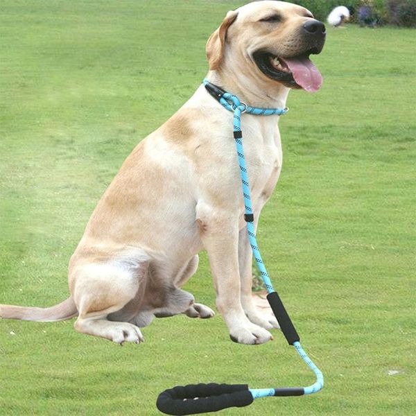 dog collars & leashes durable nylon pet leash walking training traction rope with big supplies
dog collars & leashes durable nylon pet leash walking training traction rope with big supplies