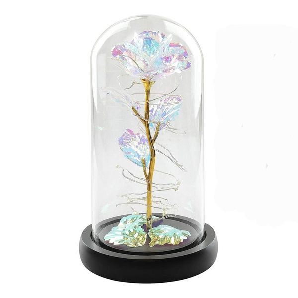 night lights led rose light colorful artificial string with glass cover preserved flower ornaments for birthday gift
night lights led rose light colorful artificial string with glass cover preserved flower ornaments for birthday gift