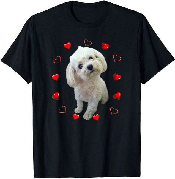 maltese dog lover puppy owner maltipoo mix fans hearts gift t-shirt size s-5xl, White;black
maltese dog lover puppy owner maltipoo mix fans hearts gift t-shirt size s-5xl, White;black