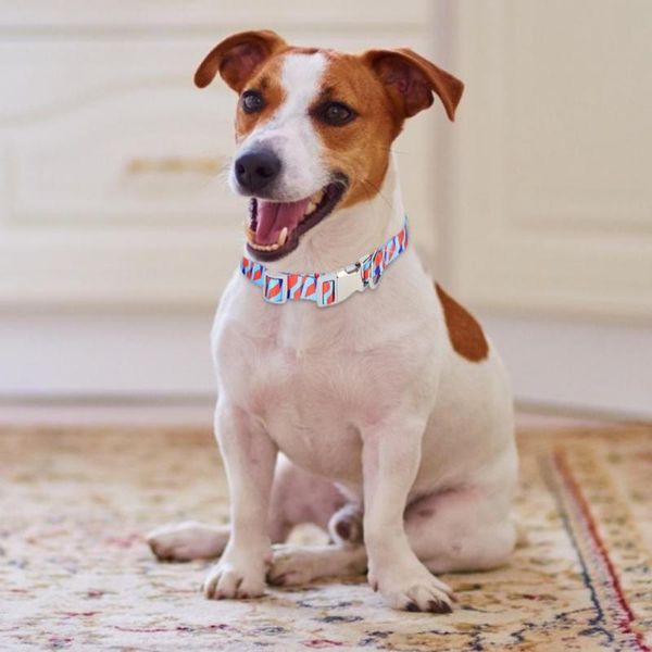 dog collars & leashes leash collar half metal buckle nylon pet printed webbing neck strap supplies for small medium size puppy
dog collars & leashes leash collar half metal buckle nylon pet printed webbing neck strap supplies for small medium size puppy