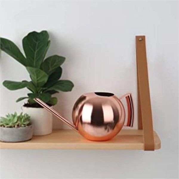 copper watering can | metal indoor / outdoor small brass succulent gold decorative equipments
copper watering can | metal indoor / outdoor small brass succulent gold decorative equipments