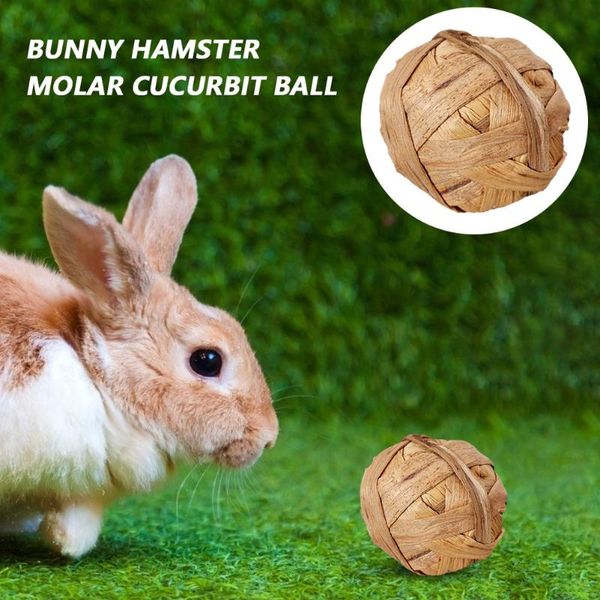 small animal supplies 4pcs hamster bird parrot animals natural grass chewing bite ball pet molar teeth clean grinding play hand knitt
small animal supplies 4pcs hamster bird parrot animals natural grass chewing bite ball pet molar teeth clean grinding play hand knitt