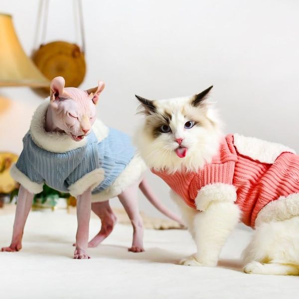 cat costumes clothes sphinx hairless winter lamb velvet plus thick warm sweater cotton coat
cat costumes clothes sphinx hairless winter lamb velvet plus thick warm sweater cotton coat