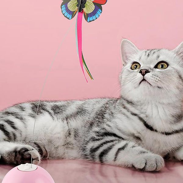 cat toys blue/ pink automatic toy teaser can rotate automatically and interactive pet entertainment fun spinning supply
cat toys blue/ pink automatic toy teaser can rotate automatically and interactive pet entertainment fun spinning supply