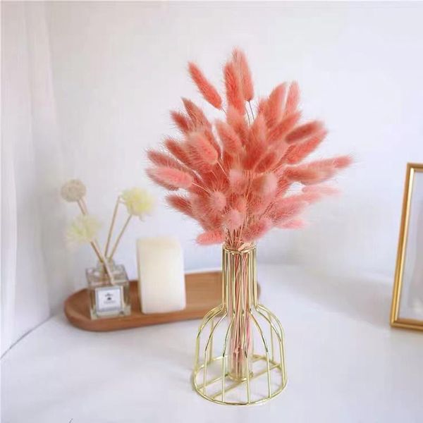 decorative flowers & wreaths dried tails grass natural pampas pink for wedding party christmas decoration home living room table deco
decorative flowers & wreaths dried tails grass natural pampas pink for wedding party christmas decoration home living room table deco