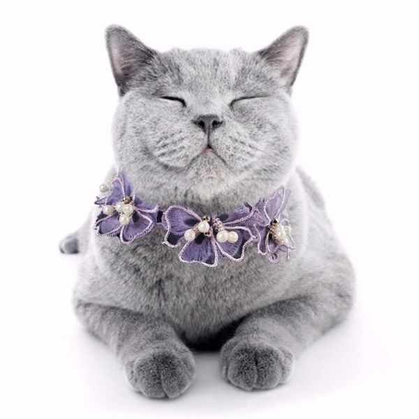 cat carriers,crates & houses pet decorative collar lace flower cute necklace for rabbits chinchillas and other small pets
cat carriers,crates & houses pet decorative collar lace flower cute necklace for rabbits chinchillas and other small pets