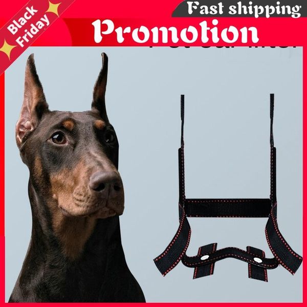 dog apparel ear stand correction fixation tool doberman german shepherd vertical dedicated accessories lifter
dog apparel ear stand correction fixation tool doberman german shepherd vertical dedicated accessories lifter