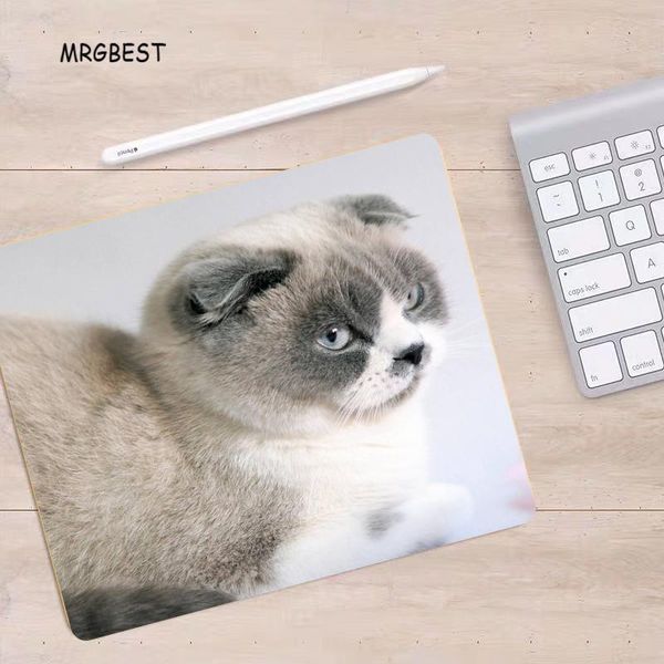 mouse pads & wrist rests mrg small mouse-pad cute cat pattern non-slip rubber mats computer accessories pad for game player or office worker
mouse pads & wrist rests mrg small mouse-pad cute cat pattern non-slip rubber mats computer accessories pad for game player or office worker