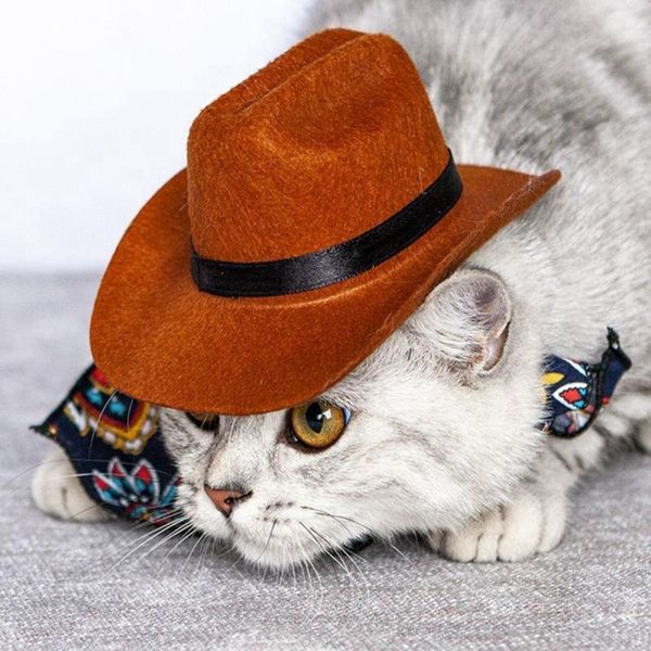cat costumes funny pet products po prop christmas birthday party western cowboy supplies dog hat costume
cat costumes funny pet products po prop christmas birthday party western cowboy supplies dog hat costume