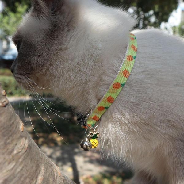 cat collars & leads flower pattern fashion adjustable collar bell pet for cats leashes puppy supplies lead i8l8
cat collars & leads flower pattern fashion adjustable collar bell pet for cats leashes puppy supplies lead i8l8