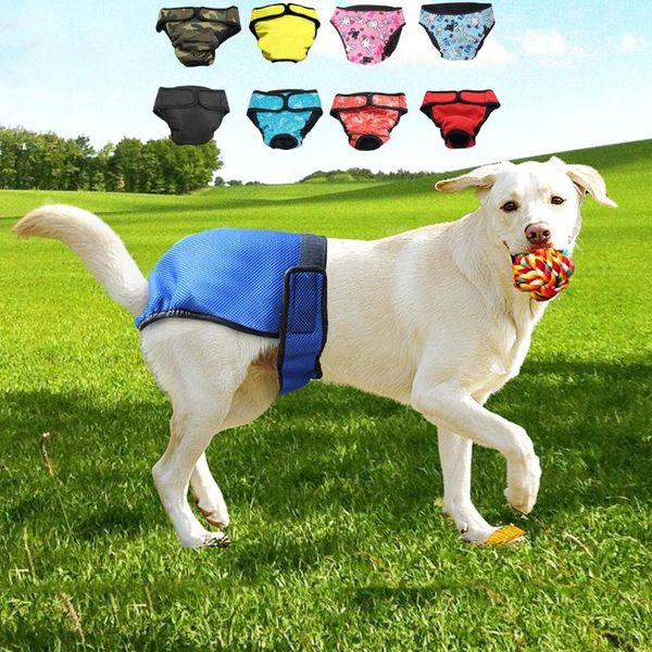 dog apparel diaper shorts physiological pants sanitary washable durable panties menstruation underwear briefs jumpsuit for
dog apparel diaper shorts physiological pants sanitary washable durable panties menstruation underwear briefs jumpsuit for