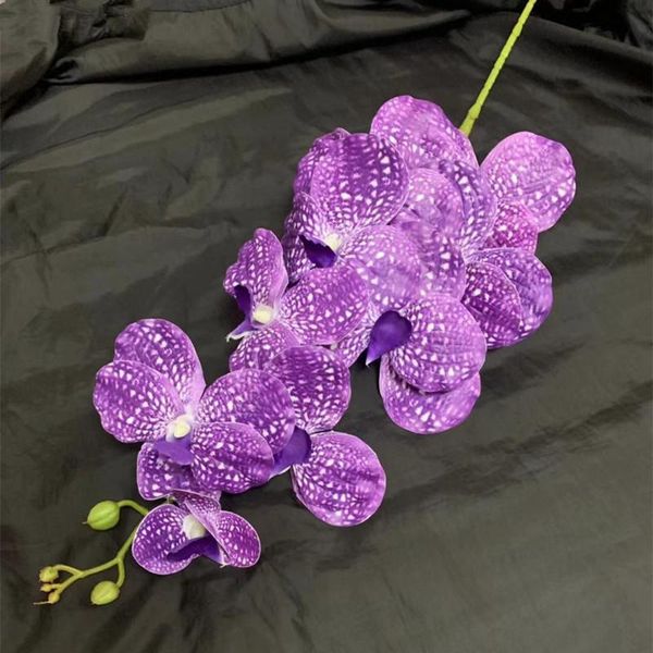 decorative flowers & wreaths one artificial vanda butterfly orchid 9 heads real touch good quality asia phalaenopsis orchids for floral deco
decorative flowers & wreaths one artificial vanda butterfly orchid 9 heads real touch good quality asia phalaenopsis orchids for floral deco