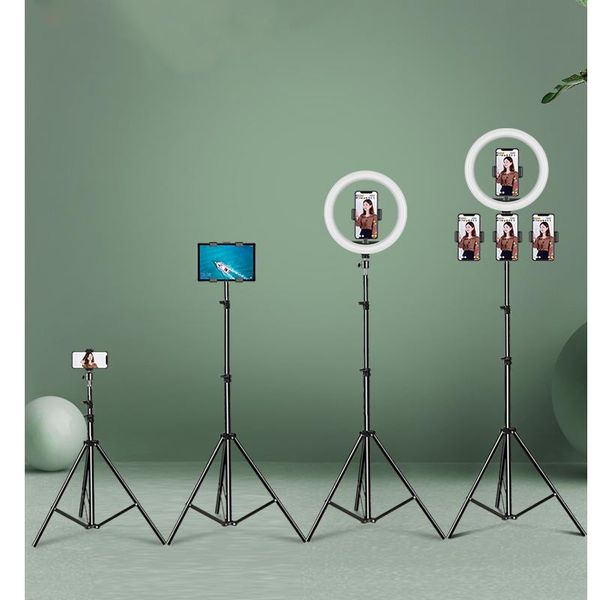 tripods foldable light stand tripod multi-function with carry bag bluetooth for spot softbox po studio videl live
tripods foldable light stand tripod multi-function with carry bag bluetooth for spot softbox po studio videl live