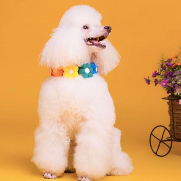 dog collars & leashes pet collar classic rainbow basic cat snap buckle lovely leash products
dog collars & leashes pet collar classic rainbow basic cat snap buckle lovely leash products