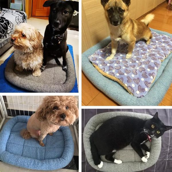 kennels & pens large dog bed mat pet dogs for medium cat fleece cage beds house mats supplies
kennels & pens large dog bed mat pet dogs for medium cat fleece cage beds house mats supplies