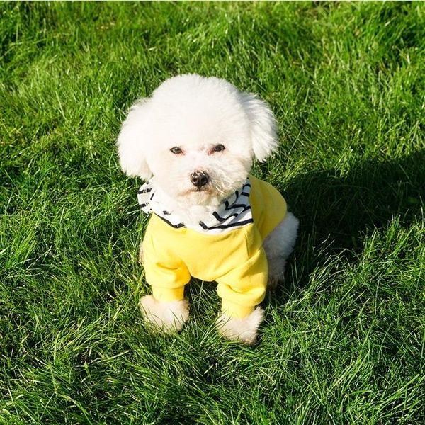 dog apparel pets hairball sweaters two-legged pure cotton-padded windproof warmth small and medium-sized cats dogs can wear pet clothing
dog apparel pets hairball sweaters two-legged pure cotton-padded windproof warmth small and medium-sized cats dogs can wear pet clothing