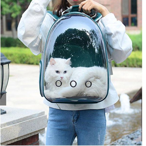 dog car seat covers cat bag breathable portable pet carrier outdoor travel backpack for and transparent space
dog car seat covers cat bag breathable portable pet carrier outdoor travel backpack for and transparent space