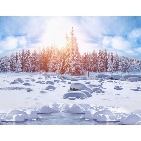 paintings gatyztory frame diy painting by numbers snow landscape handpainted oil modern home art canvas 60x75cm
paintings gatyztory frame diy painting by numbers snow landscape handpainted oil modern home art canvas 60x75cm
