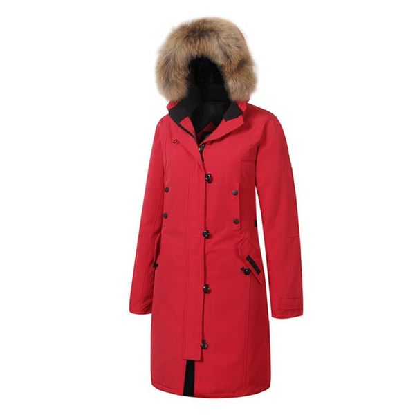 winter women parkas goose down jacket warm clothes fur collar hat wadded coat hoodie thick outdoor outerwear ski puffer jackets female cloth, Black
winter women parkas goose down jacket warm clothes fur collar hat wadded coat hoodie thick outdoor outerwear ski puffer jackets female cloth, Black