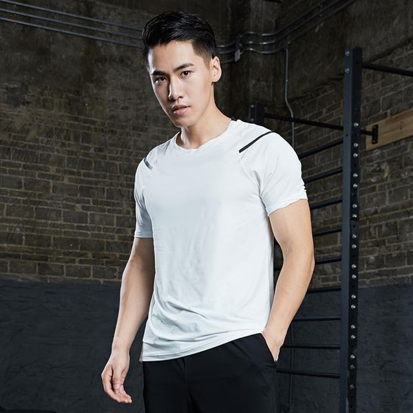 running jerseys s-4xl men's t shirt workout sport short sleeves male gym bodybuilding jersey athletic, Black;blue
running jerseys s-4xl men's t shirt workout sport short sleeves male gym bodybuilding jersey athletic, Black;blue