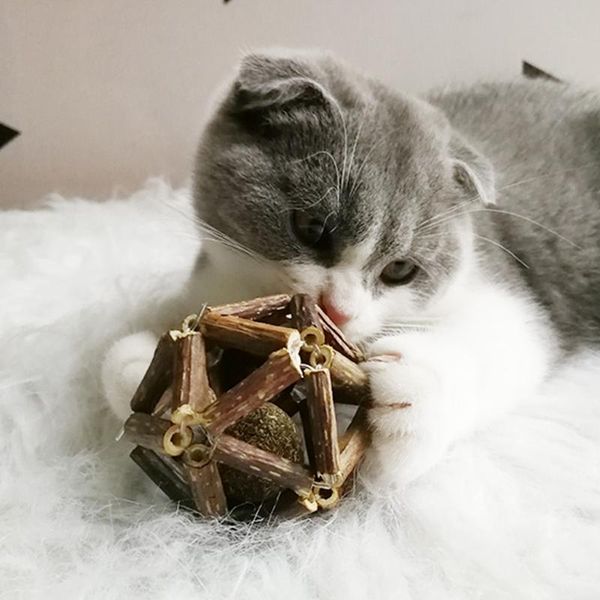cat toys funny puzzle interactive pet handmade toy ball mint stick organic natural sticks supplies
cat toys funny puzzle interactive pet handmade toy ball mint stick organic natural sticks supplies