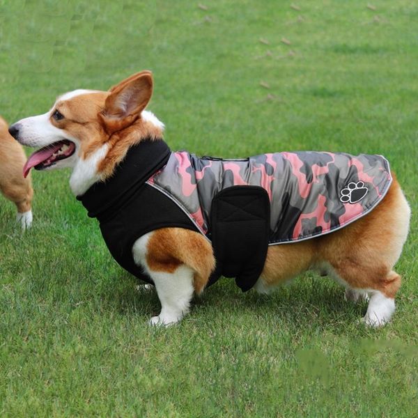 dog apparel snowsuit dogs coat jacket cotton warm winter pockets hooded clothing pets
dog apparel snowsuit dogs coat jacket cotton warm winter pockets hooded clothing pets