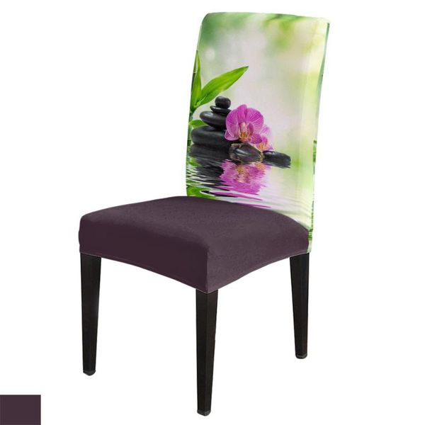chair covers bamboo leaves stone flower reflection office cover spandex elastic printing el wedding dining
chair covers bamboo leaves stone flower reflection office cover spandex elastic printing el wedding dining
