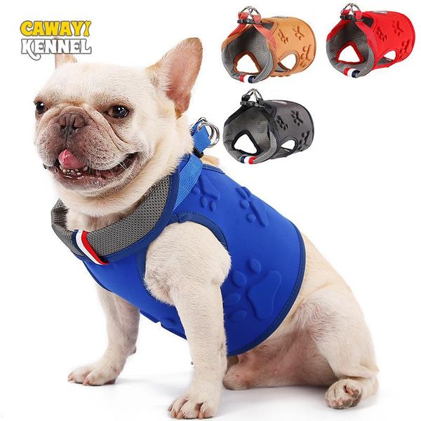 dog collars & leashes cawayi kennel training pet vest harness chest back traction collar service for small dogs supplies d1840
dog collars & leashes cawayi kennel training pet vest harness chest back traction collar service for small dogs supplies d1840