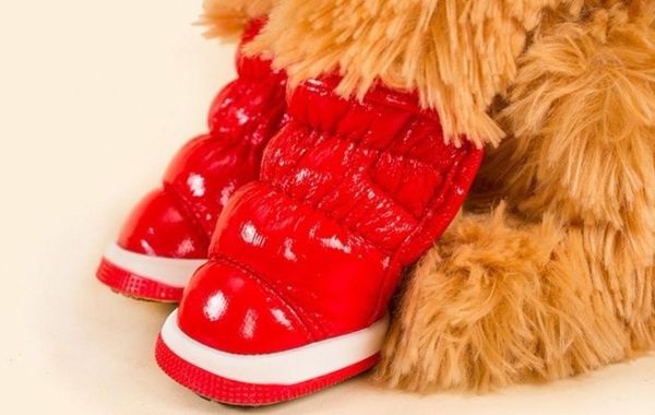 dog apparel winter shoes for small dogs soft pu leather booties boots working pet puppy waterproof warm 5 colors plush lining modern 1 pair
dog apparel winter shoes for small dogs soft pu leather booties boots working pet puppy waterproof warm 5 colors plush lining modern 1 pair