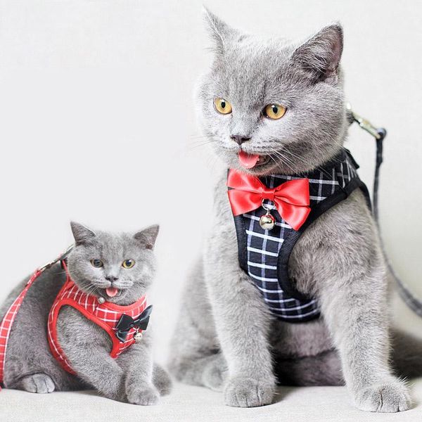cat collars & leads fashion anchor harness vest breathable mesh dog leash set with bell cute bowknot accessories for small dogs kitten
cat collars & leads fashion anchor harness vest breathable mesh dog leash set with bell cute bowknot accessories for small dogs kitten