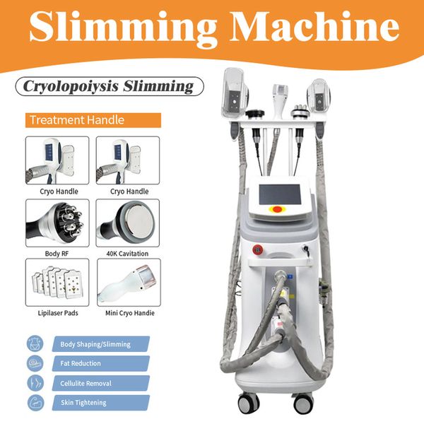 fat ing slimming body sculpting machine with double cryo handles/double chin liposuction head/40k/rf256
fat ing slimming body sculpting machine with double cryo handles/double chin liposuction head/40k/rf256